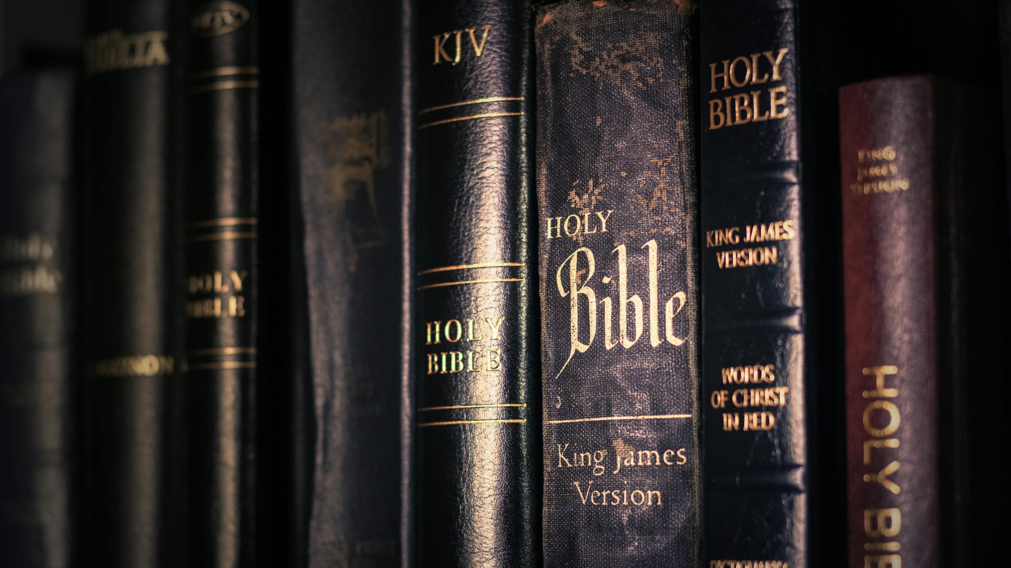 A row of Bible covers