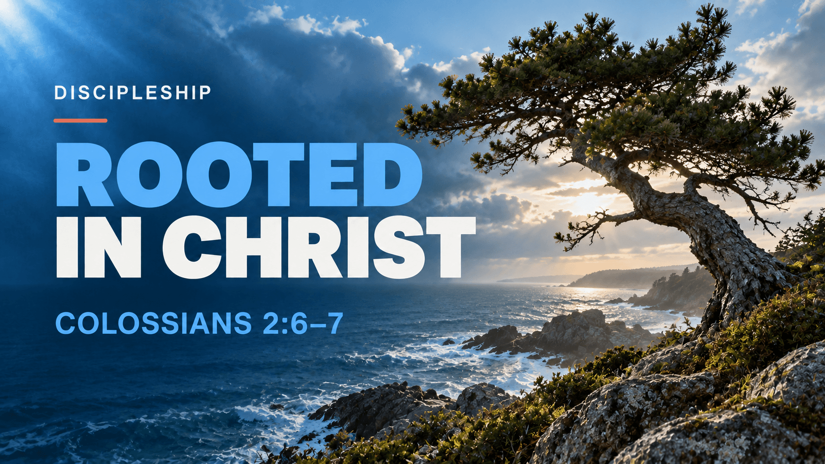 Rooted in Christ